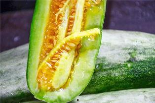 有没有吃网红瓜网站,一网打尽热门话题，带你畅游吃瓜乐园