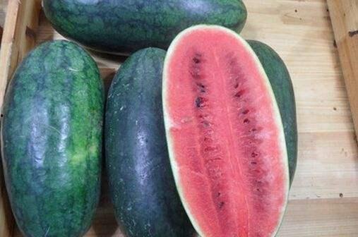 山东网红吃瓜真实的视频,趣味横生一幕幕