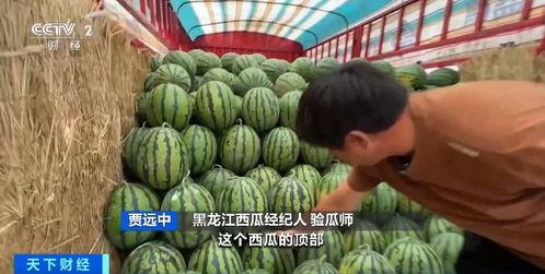 柳州bbr吃瓜网盘