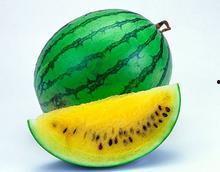 吃瓜网爆料无码吃瓜第一页,吃瓜网独家爆料，带你领略网络热点背后的真相