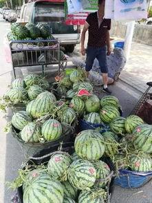 唐山网红吃瓜事件,揭秘网络舆论的风暴与真相