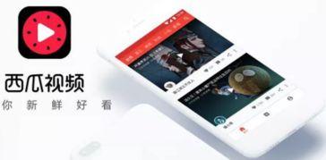 吃瓜网是哪个网站旗下的,吃瓜网背后的神秘网站揭秘