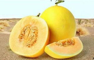 吃瓜网166.su最新,娱乐圈最新热点事件大盘点