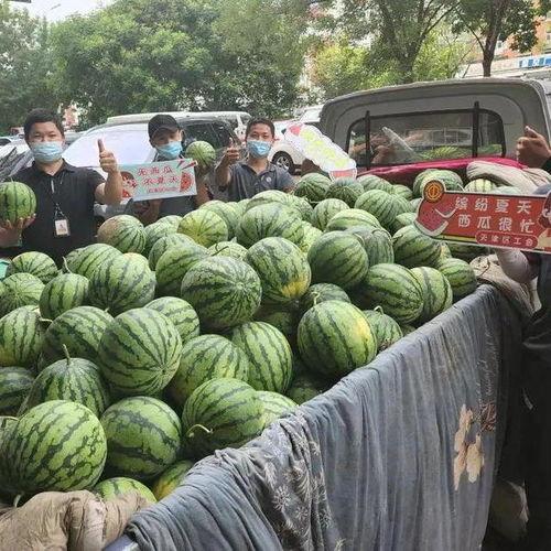 吃瓜网快递,揭秘快递行业的最新动态与趋势