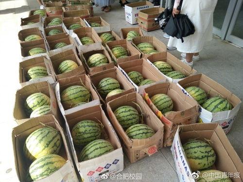 校园网吃瓜,揭秘校园热点事件背后的真相