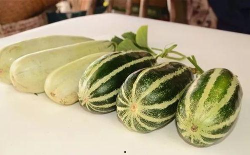 各种网红爆料吃瓜在线观看,揭秘娱乐圈幕后故事