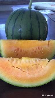 回家吃瓜网,揭秘娱乐圈幕后故事，带你走进明星私生活