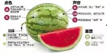 郫县网红吃瓜群微信,揭秘网络社交圈的趣味与争议