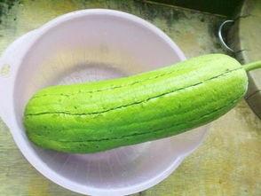 网红吃的水瓜,水瓜美食之旅