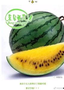 最新最全的吃瓜网