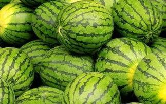 清远网红吃瓜事件,揭秘网络舆论的风云变幻