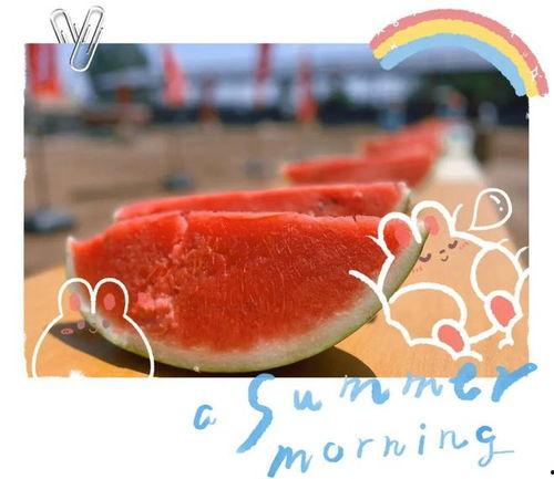 大型吃瓜现场网红趣事,网红趣事大揭秘