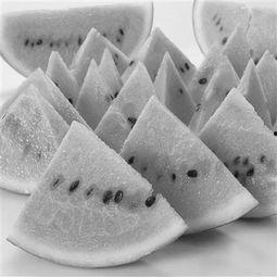 网红款夏季吃瓜神器