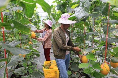 吃瓜网红太古里,太古里网红吃瓜风云录