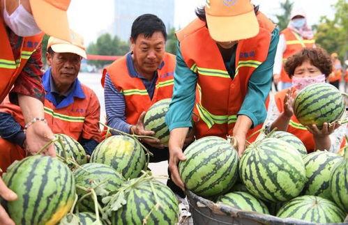 郯城网红吃瓜事件视频最新,一场网络狂欢背后的真相揭秘
